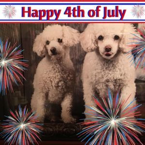 Meet your Posher, Rosie garcia